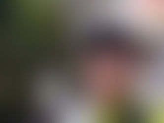 4/18(土)イトーヨーカドー街頭