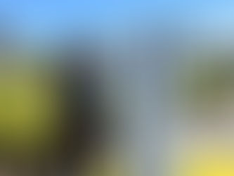 5/18(土)橘樹歴史公園オープン（橘樹官衙遺跡）