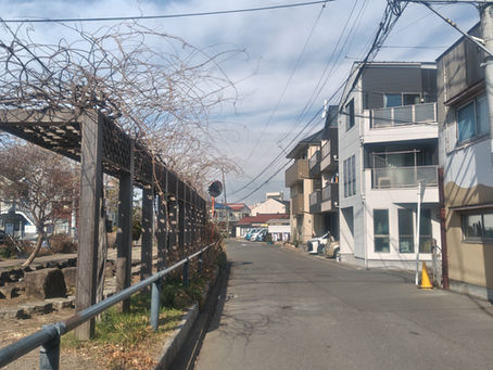 2/20(金)陳情の現場視察