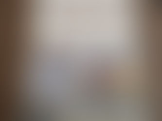 3/29(日)救国シンクタンク「議会改革条例」