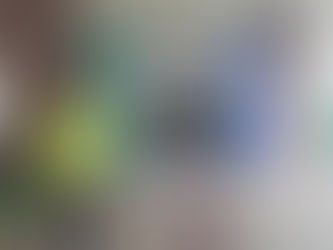 4/24(金)歩こう会で深川江戸資料館へ