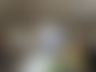 11/24(月)早川千晶さん「ケニアからのメッセージ」