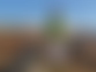 12/7(日)ソフトボールフレンドリーマッチ