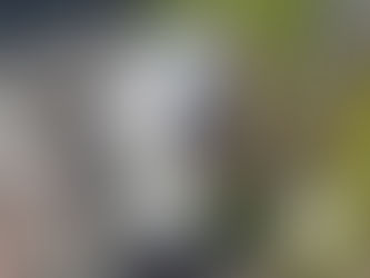 7/22(火)溝口南公園の清掃