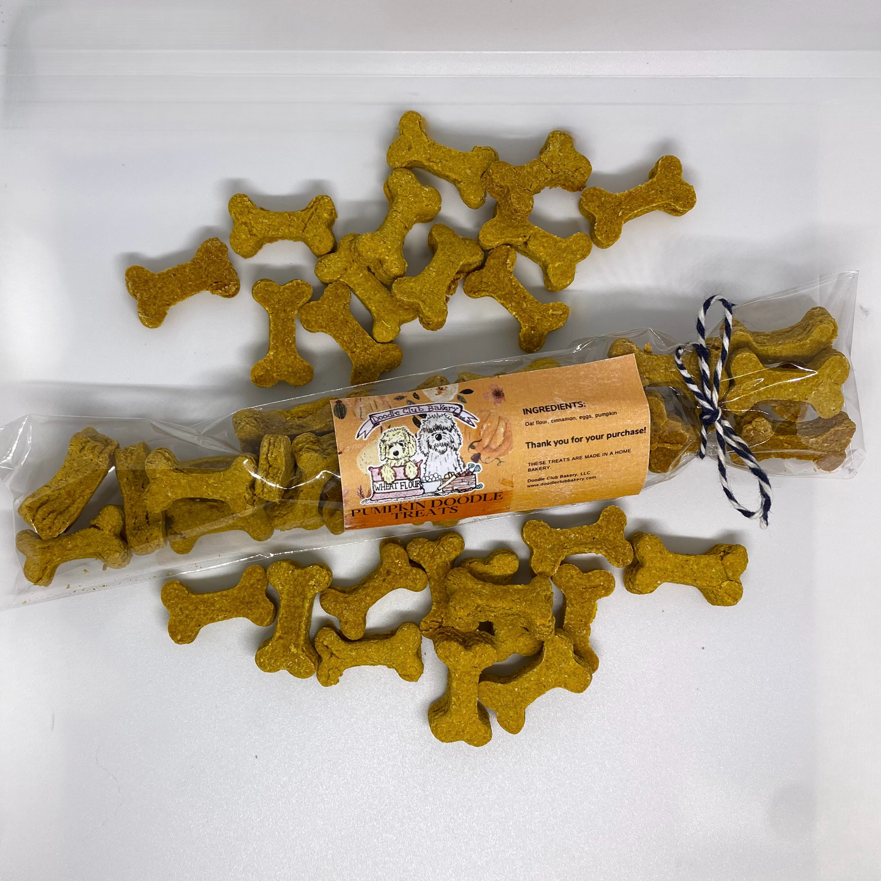 Pumpkin Doodle Treat Mini Bones