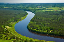 Daugavas loki