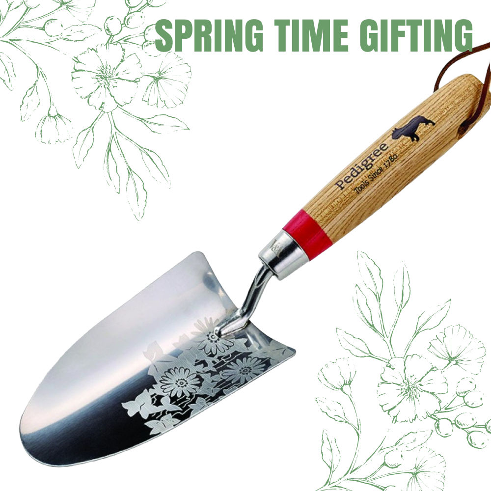 Pedigree Stainless Steel V&A Hand Trowel
