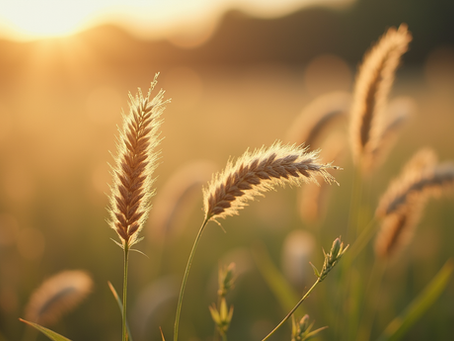 Matériaux perruque comparés : guide complet pour bien choisir