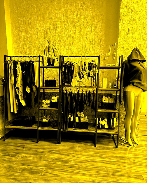 Untitled design 3_edited_edited.jpg