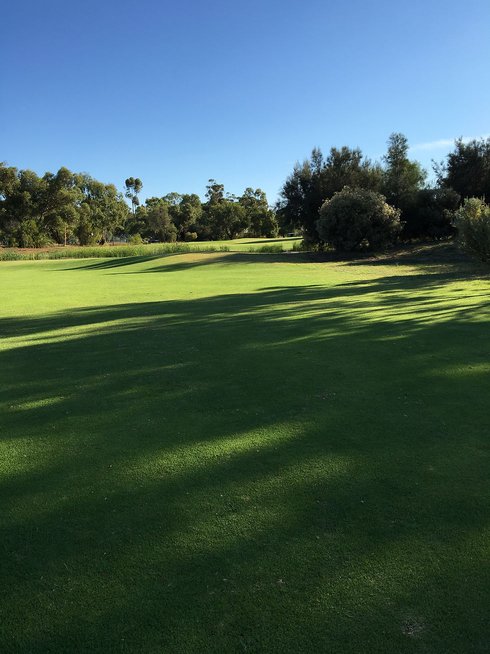 Golf 019