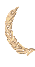[CITYPNG_edited_edited.png