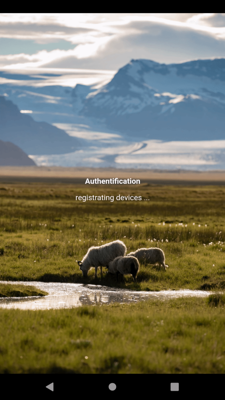lamb1.gif