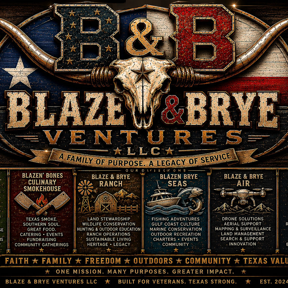 Blaze & Brye Ventures patriotic brand illustration featuring a longhorn skull and the culinary, ranch, seas and air divisions.