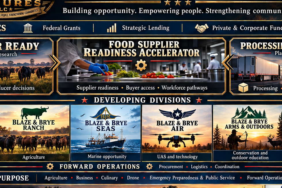 Blaze & Brye platform overview: federal grants, strategic lending and private or corporate funding support separate lanes connecting supplier readiness, planned processing, developing divisions, workforce and community services.