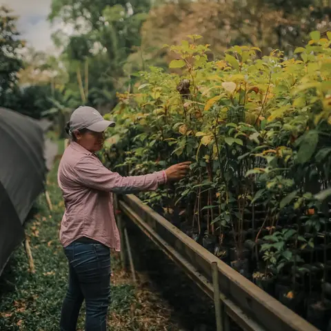 Frau im Generation Forest