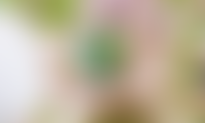 SETCESP prorroga data de inscrição para premiação