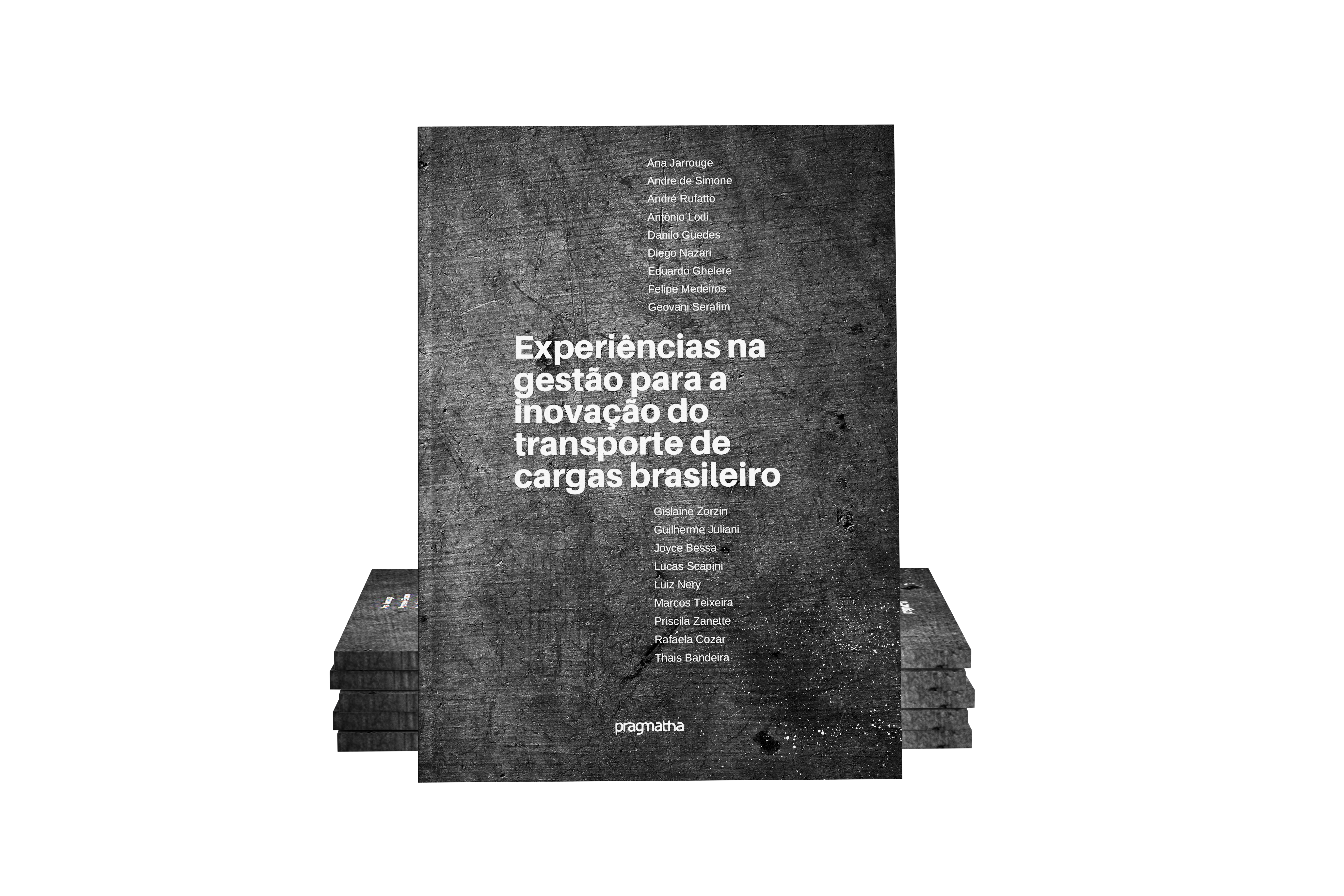 Experiência na gestão para a inovação do transporte de cargas brasileiro