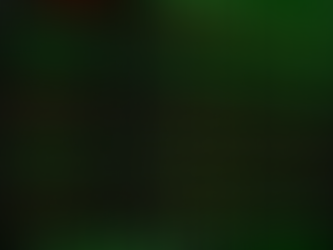 Queda do dólar e juros baixos nos EUA criam oportunidade para brasileiros investirem no exterior