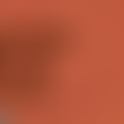 Diversidade Racial nas empresas