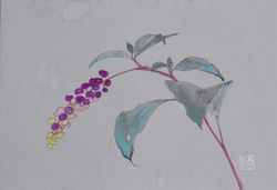 雨の日には、雨の日の咲き方を