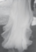schleier_edited_edited_edited_edited.jpg