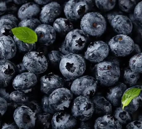 closeup-vertical-shot-blueberries-with-water-droplets-leaves_181624-1166.jpgw3.webp