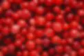 top-view-cranberries-arrangement_23-2148823574.jpgw3.webp