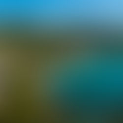 Train running along italian coast