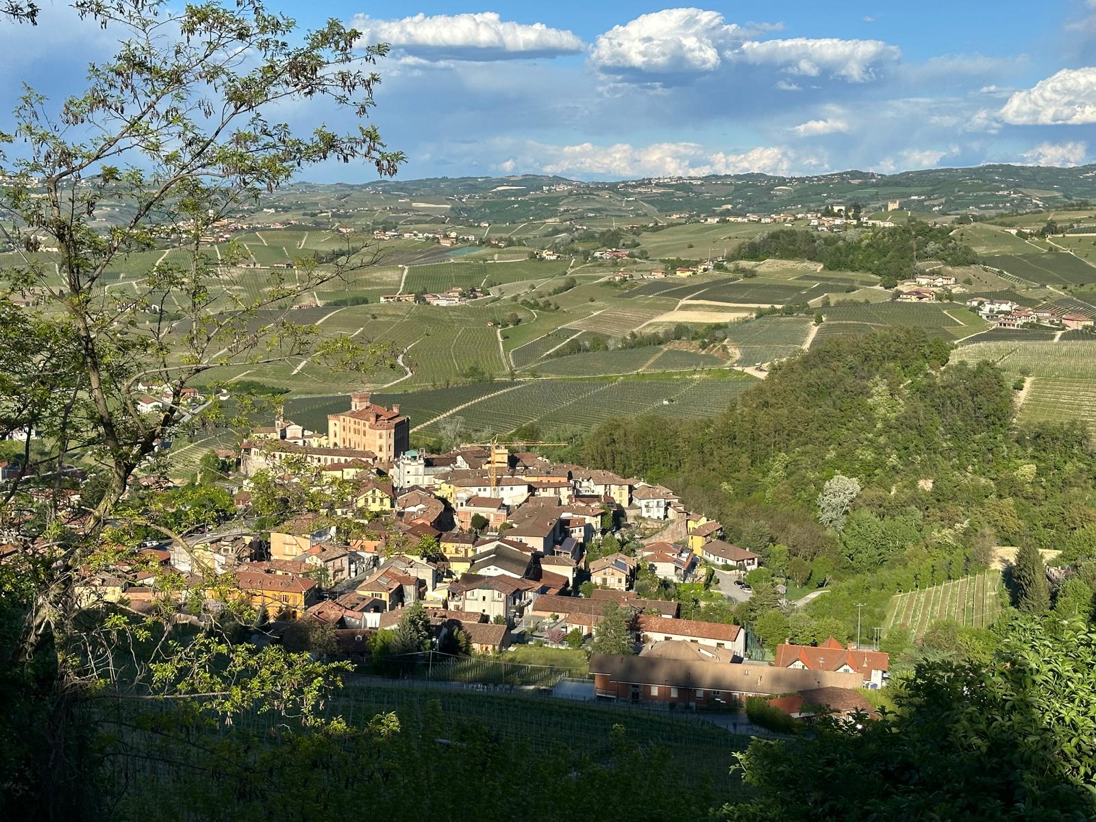 The descent to Barolo by foot
