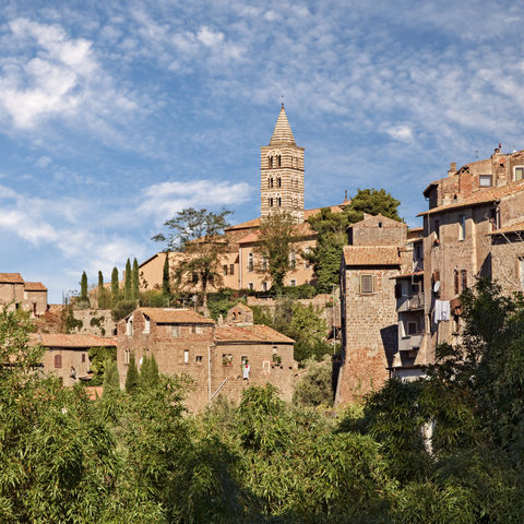 View of Viterbo old town