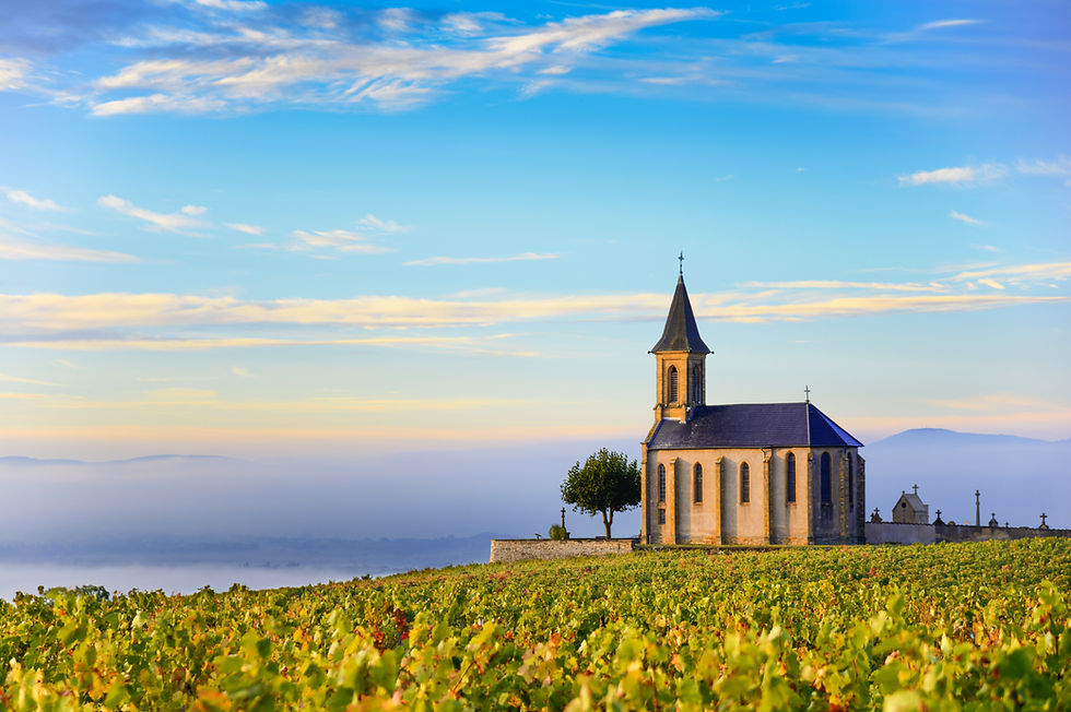Beaujolais Wine Region, France