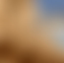 Church of Santa Croce Lecce