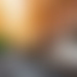 Backstreet Restaurant in Rome