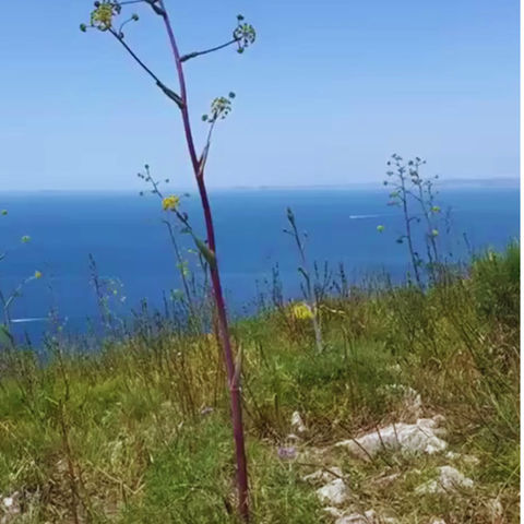 Views from The Massa Lubrense Peninsula, Italy