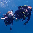P3175527_edited.jpg