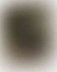 An exclusive 5'ELEVEN" interview with actor Danielle Galligan, star of Netlfix's "House of Guinness". Art directed and styled by Katie-Ruby Robinson and photographed by Darren Moriarty. Featuring fashion by Christian Dior, Loewe, Paula Rowan, Simone Rocha, Triona Design and more.