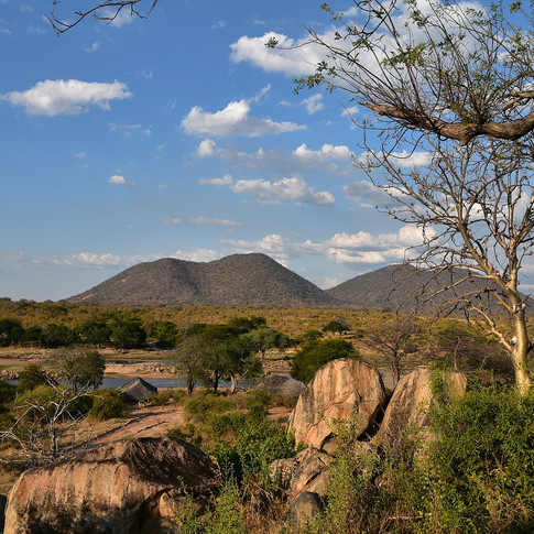 Ruaha national park