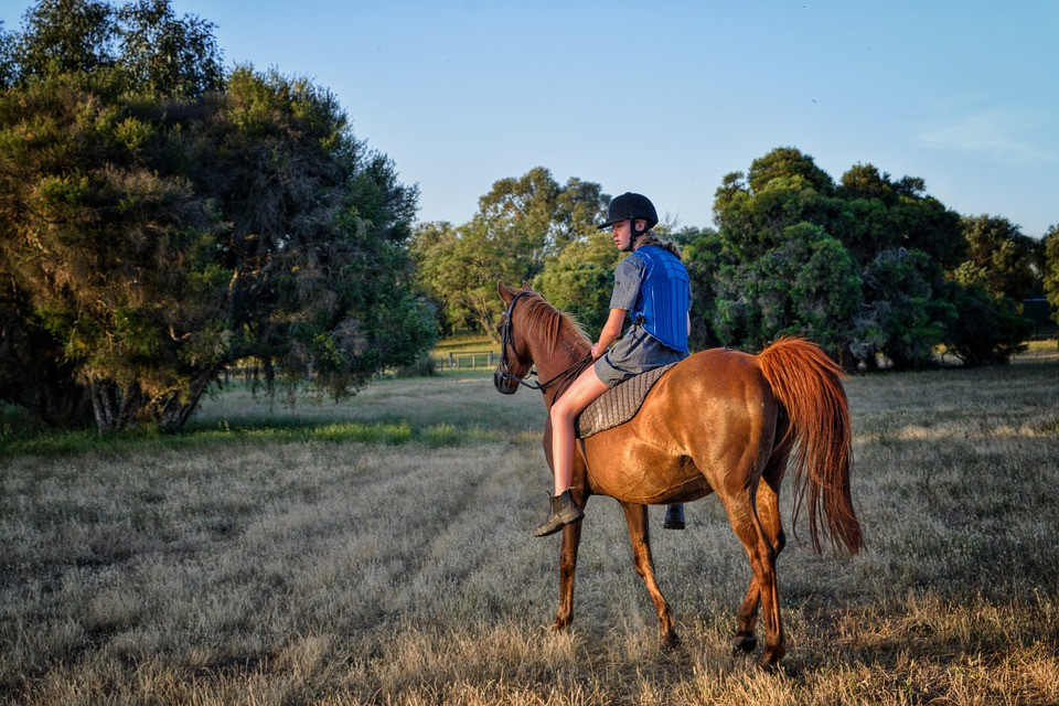 Horse-Animal-Riding-Rider-Horses-Horseback-4751539.jpeg