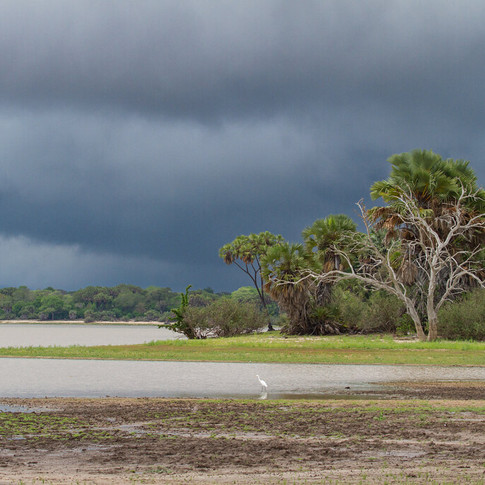 Nyerere national park