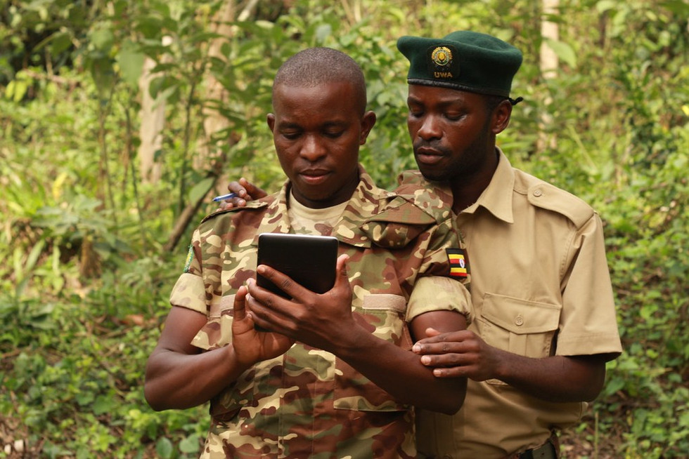 Protected area management and wildlife health surveillance with rangers