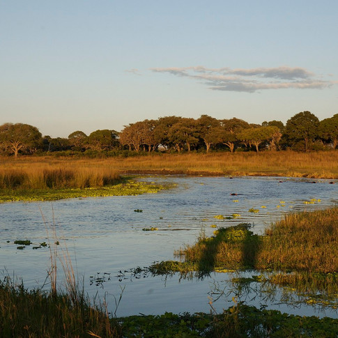 Katavi national park