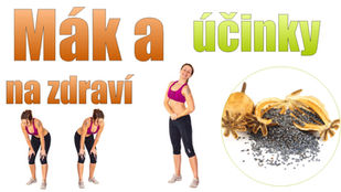 Mák a účinky na zdraví