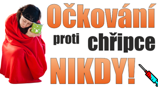 Očkování proti chřipce, NIKDY!