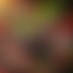 Pepř a zdraví