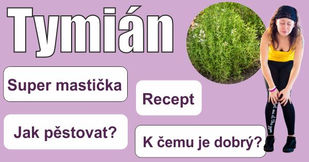 Tymián