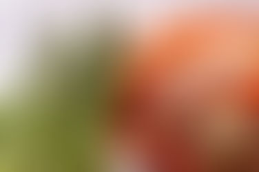 Pohankové rizoto s kuřecím masem