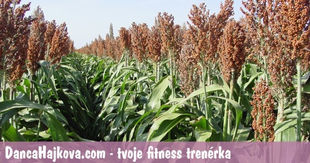 Co je čirok a 2 oblíbené recepty od fitness Danči