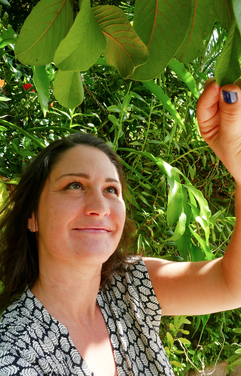 Amandine observe une feuille de goyavier