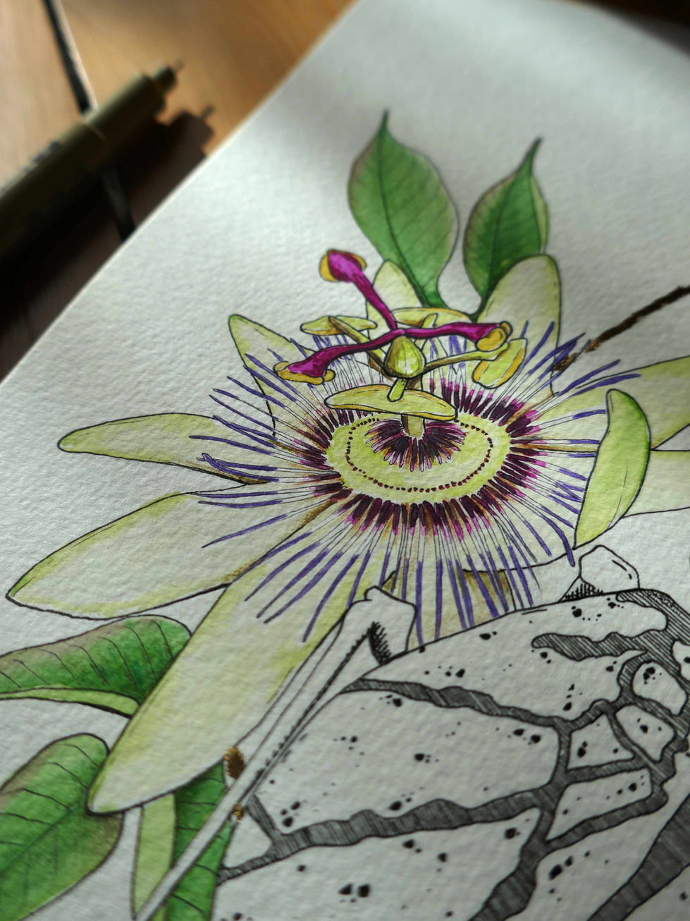 zoom sur une fleur de passiflore