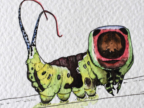 aquarelle de chenille de Cerura vinula